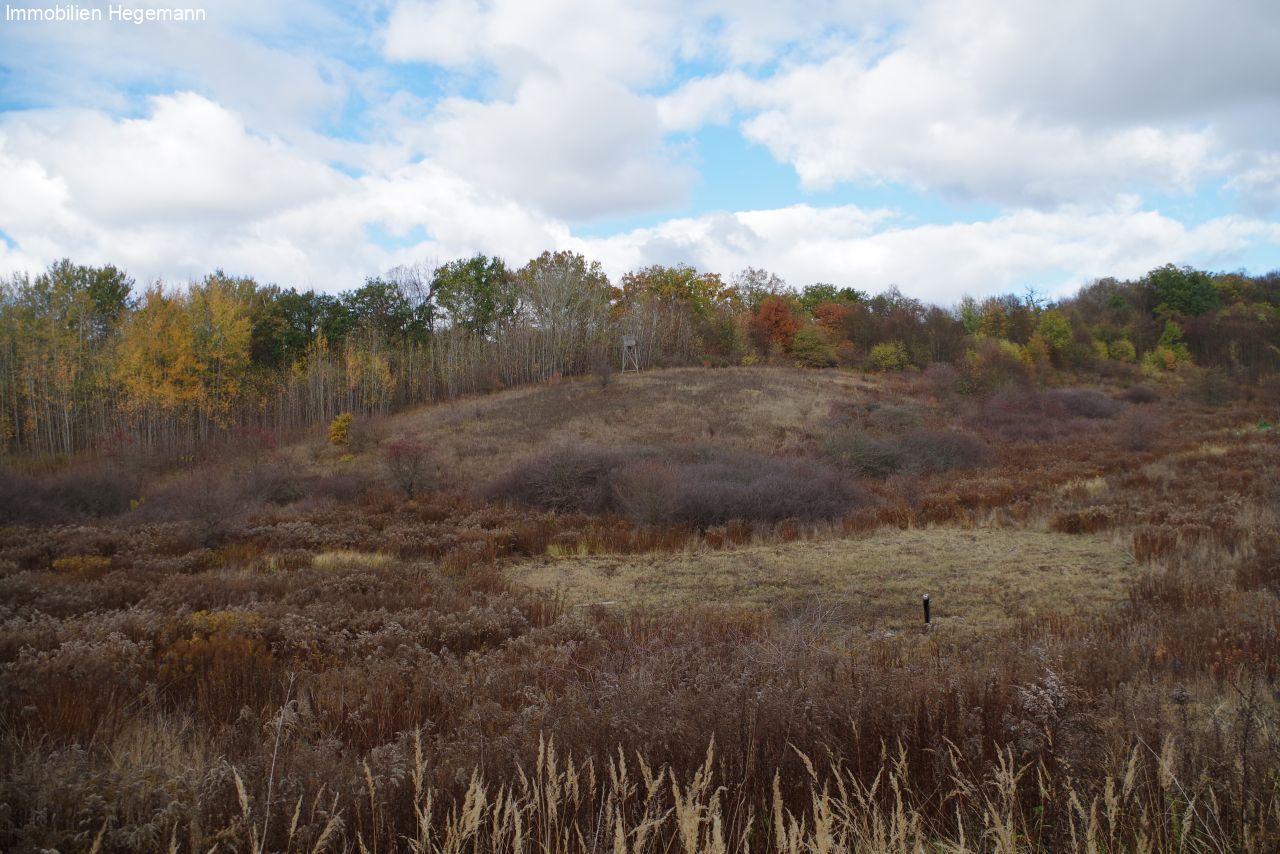 Provisionsfrei ! Grosses Grundstück in Neubrandenburg direkt am See - ca. 190.000 qm ! Provisionsfrei ! Grosses Grundstück in Neubrandenburg direkt am See - ca. 190.000 qm !